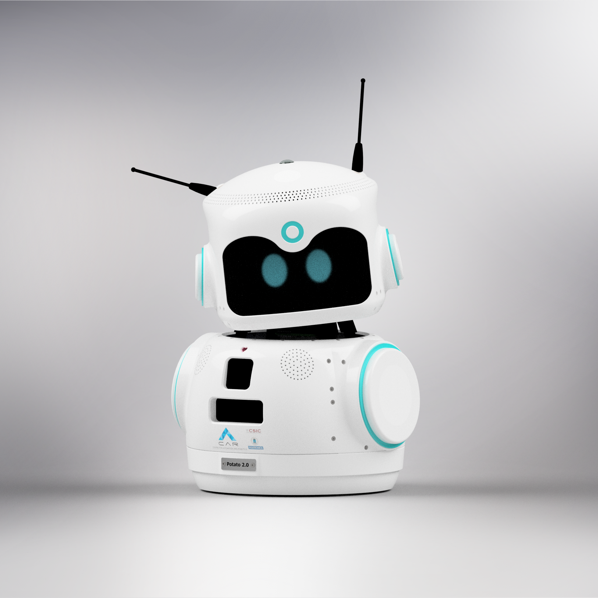 Social Robot Development